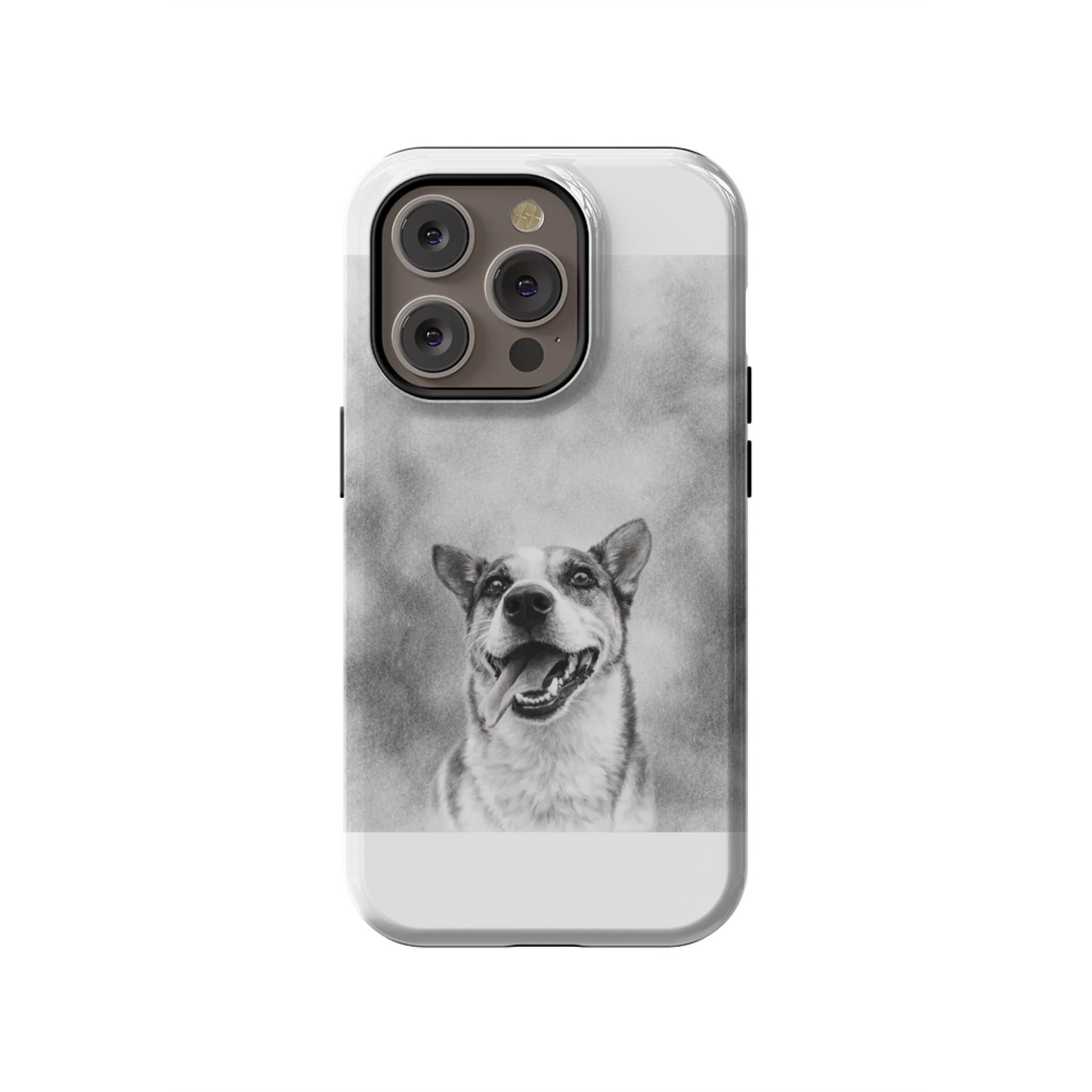 14PT_Mockup