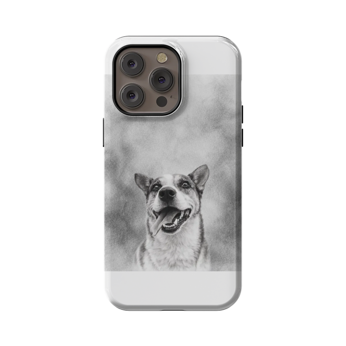 14PMT_Mockup