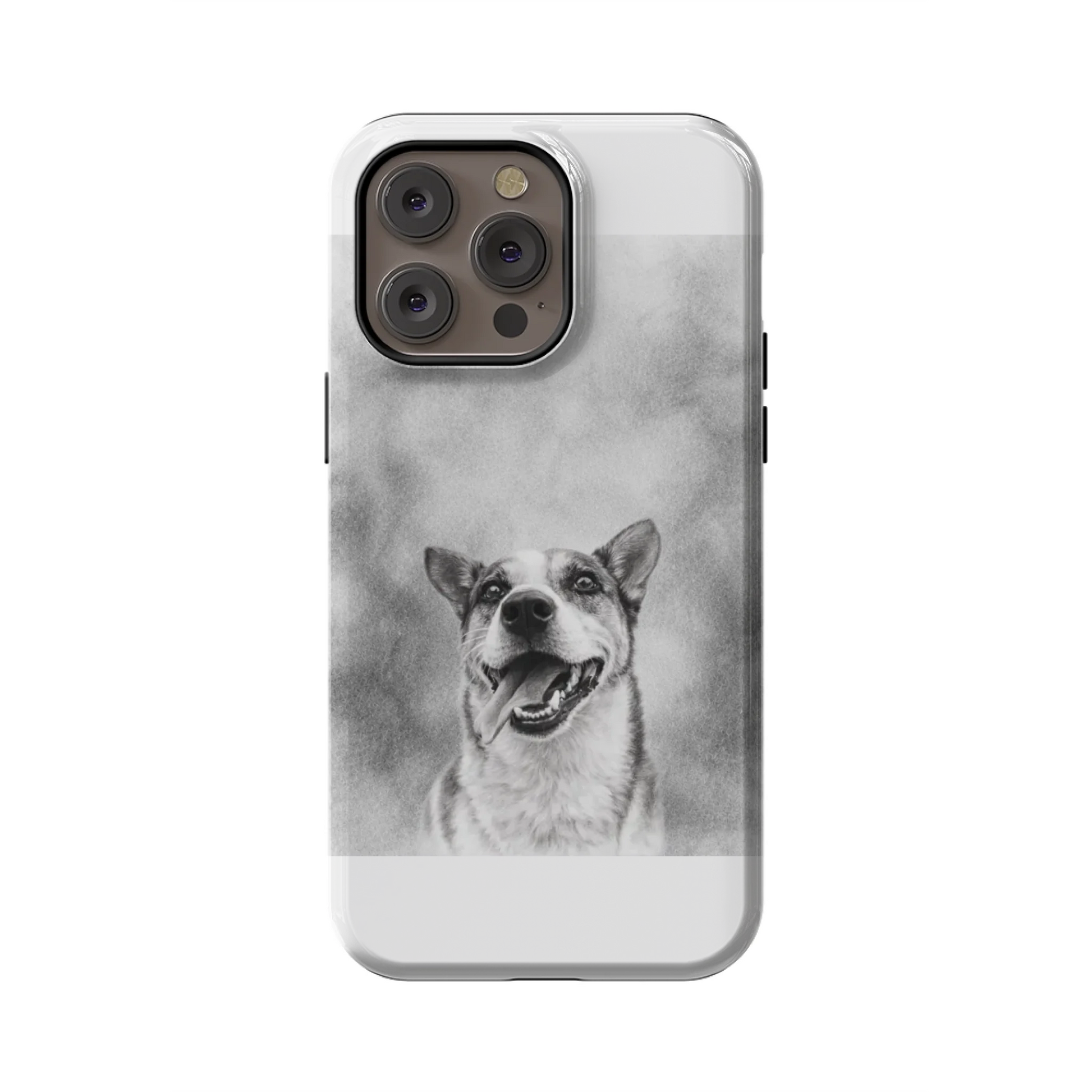 14PMT_Mockup