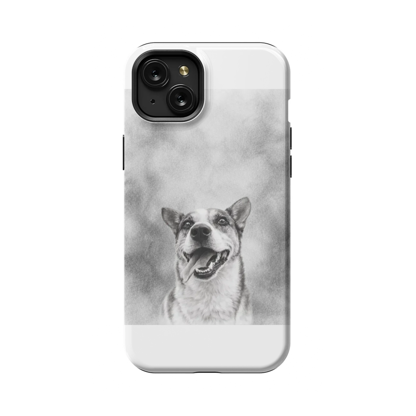 15PLT_Mockup