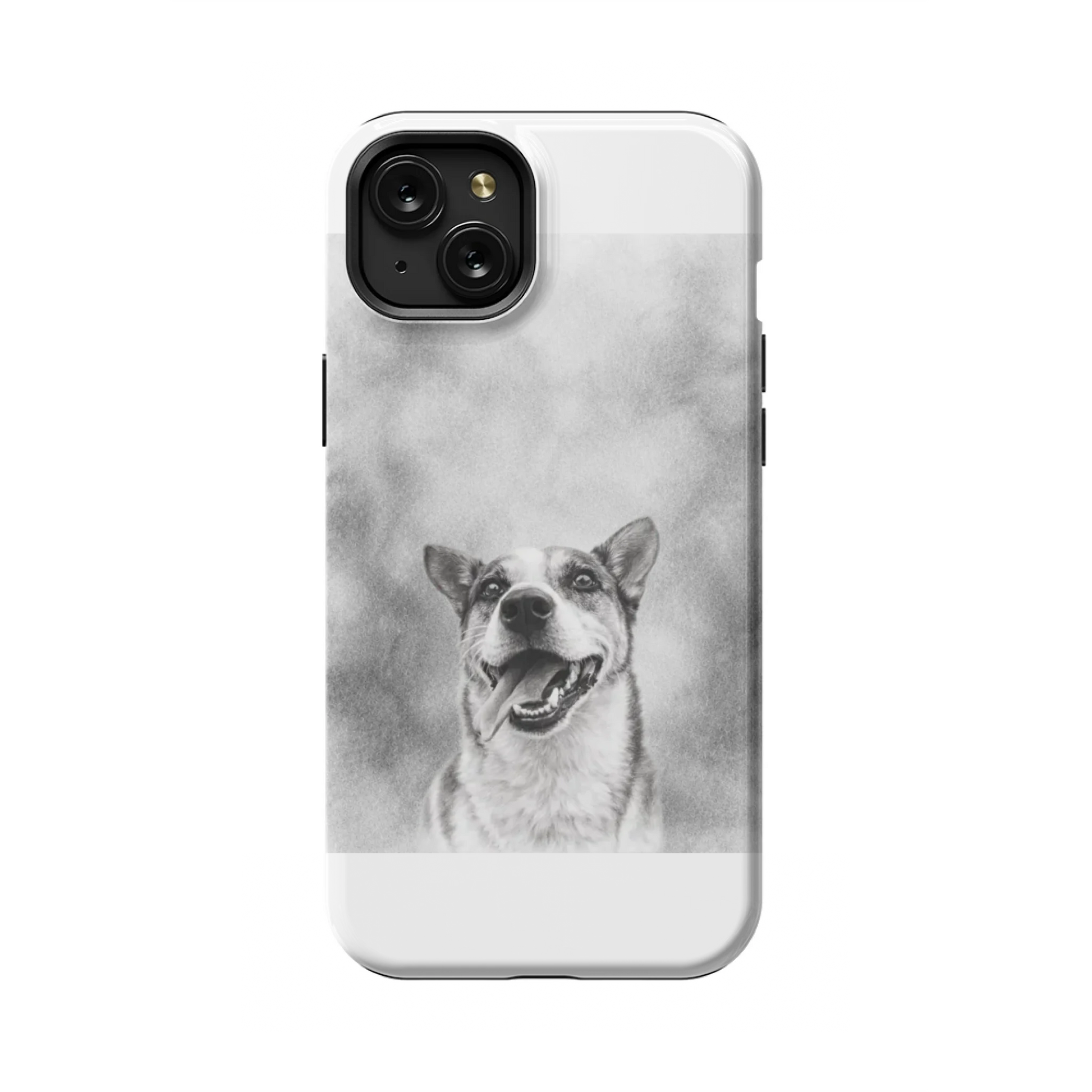 15PLT_Mockup