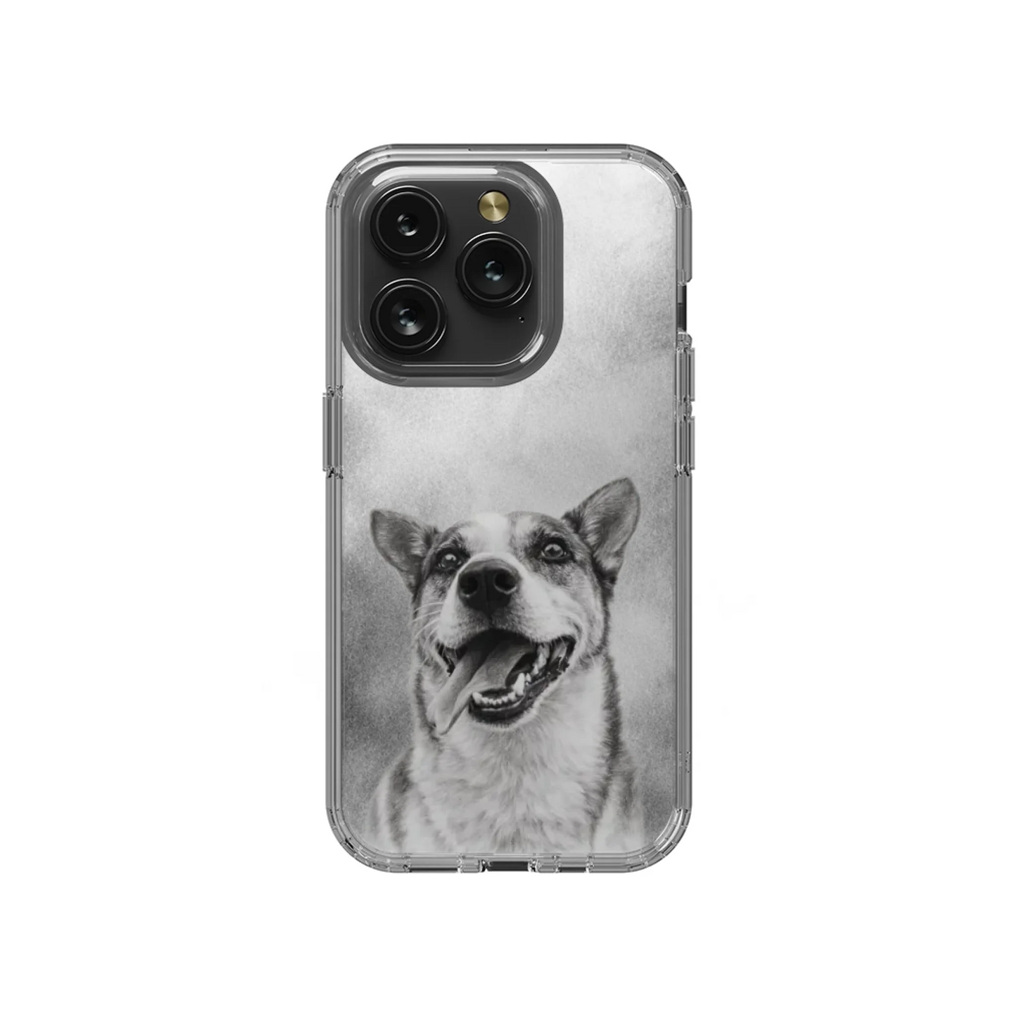 15P-C_Mockup