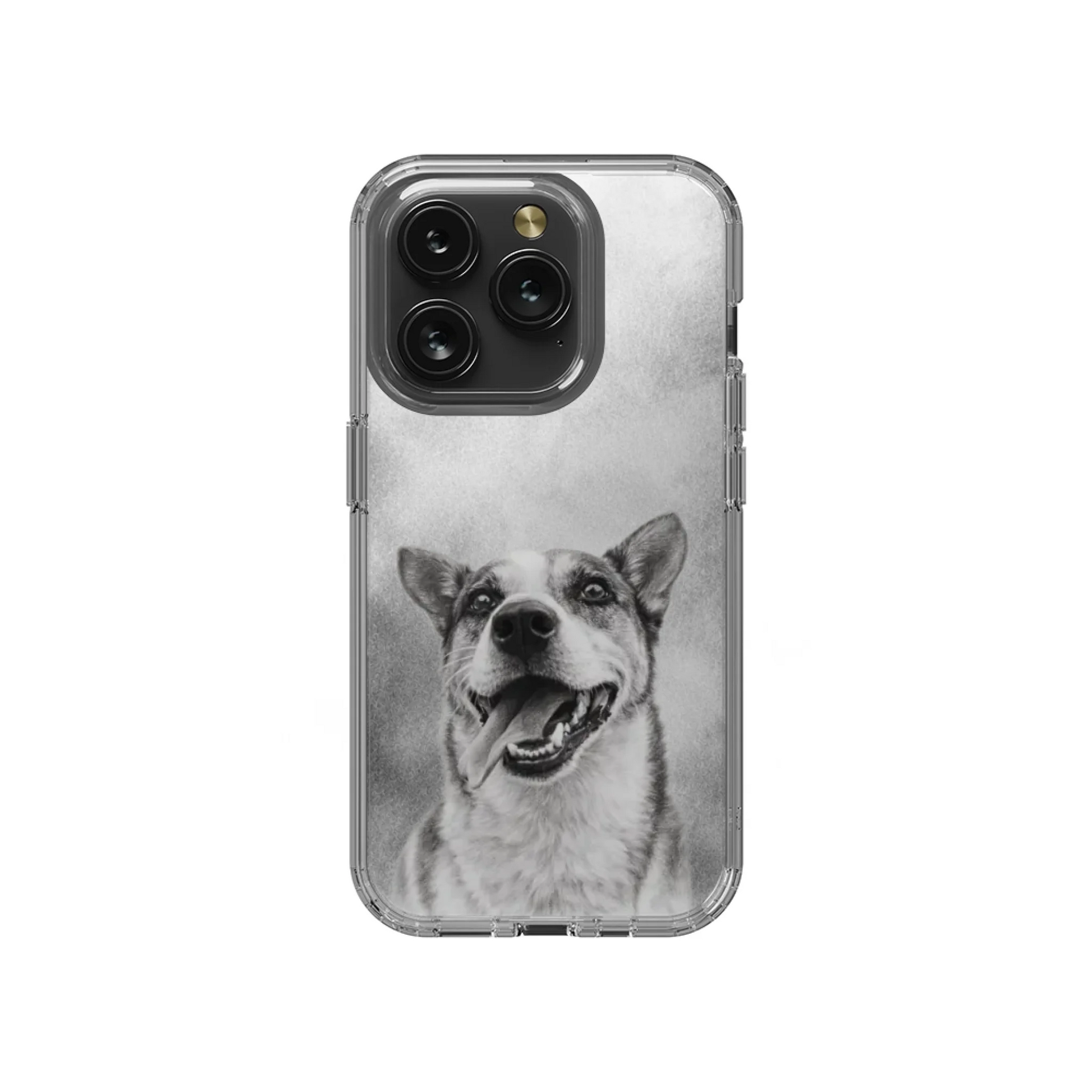 15P-C_Mockup