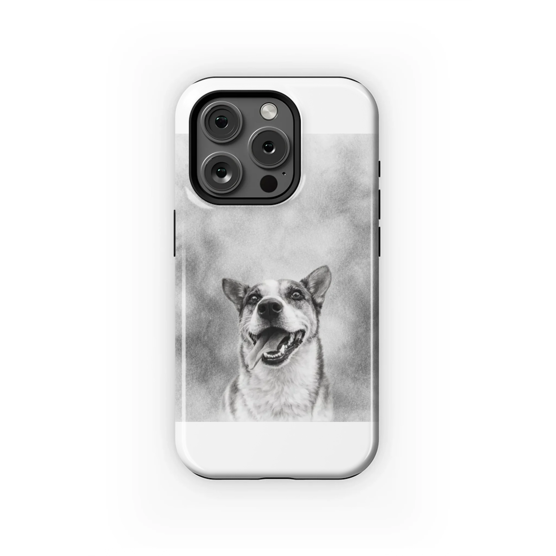 15PT_Mockup