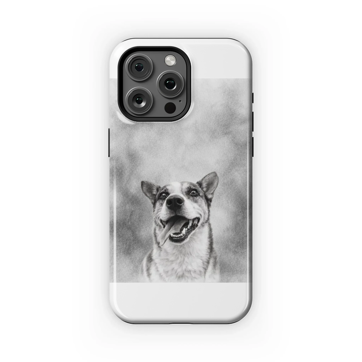 15PMT_Mockup