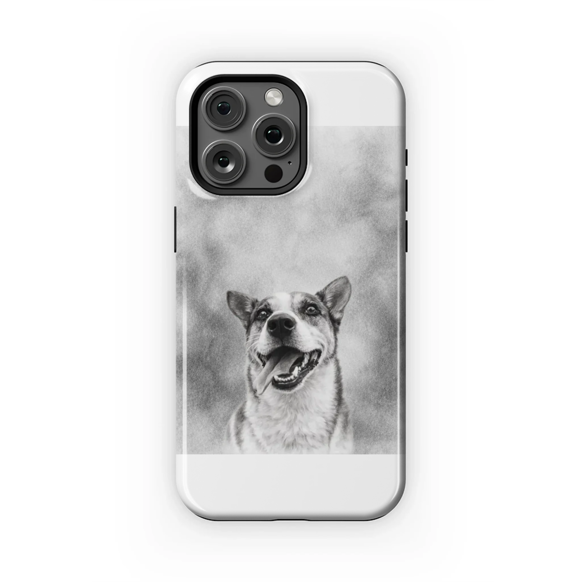 15PMT_Mockup