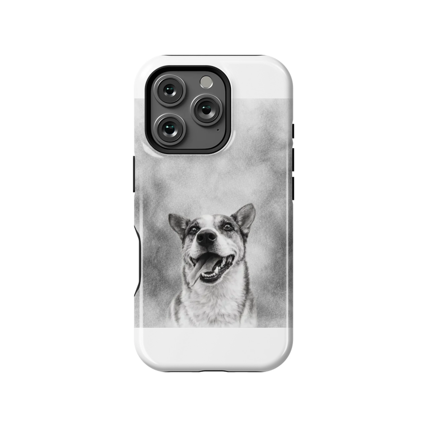 16PT_Mockup