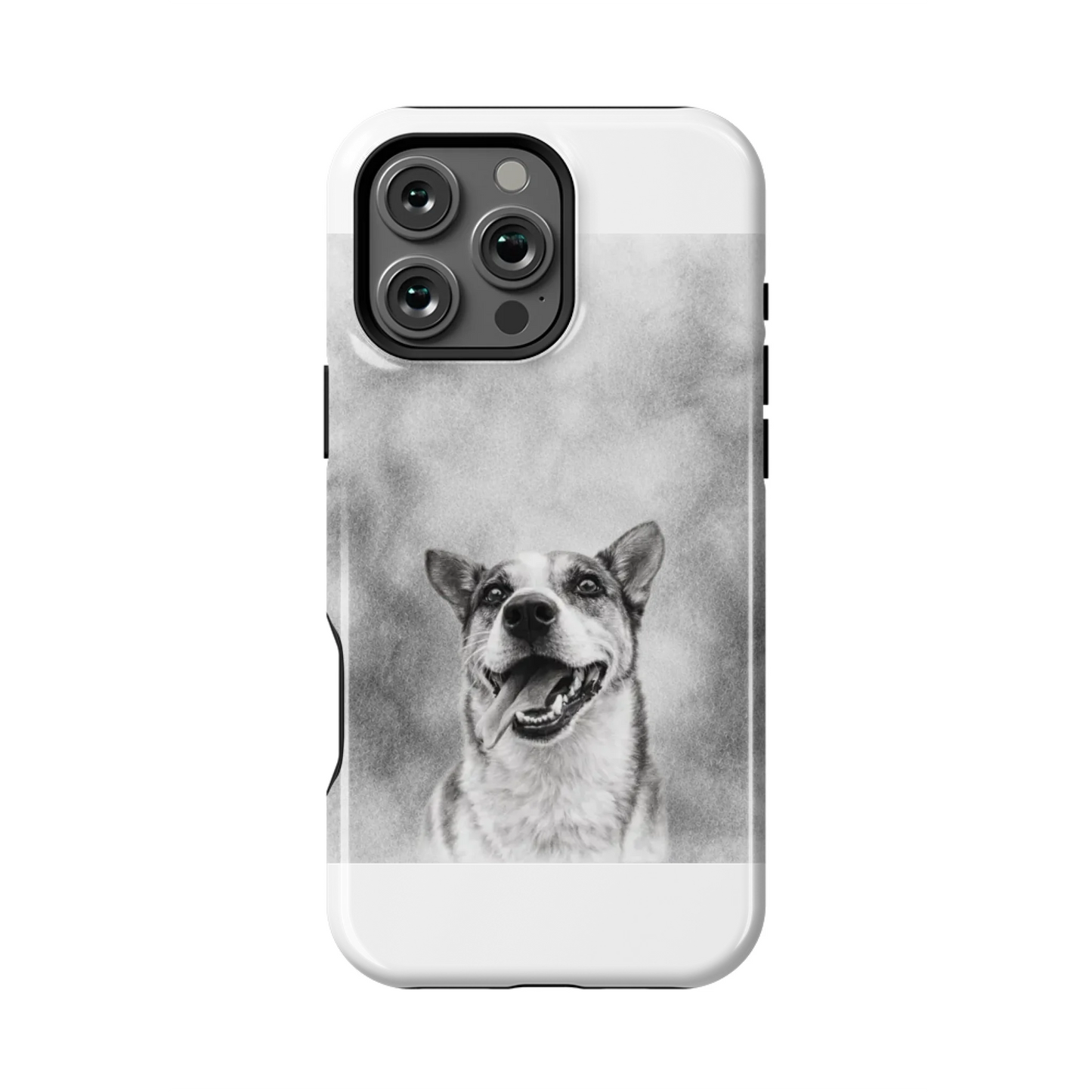 16PMT_Mockup
