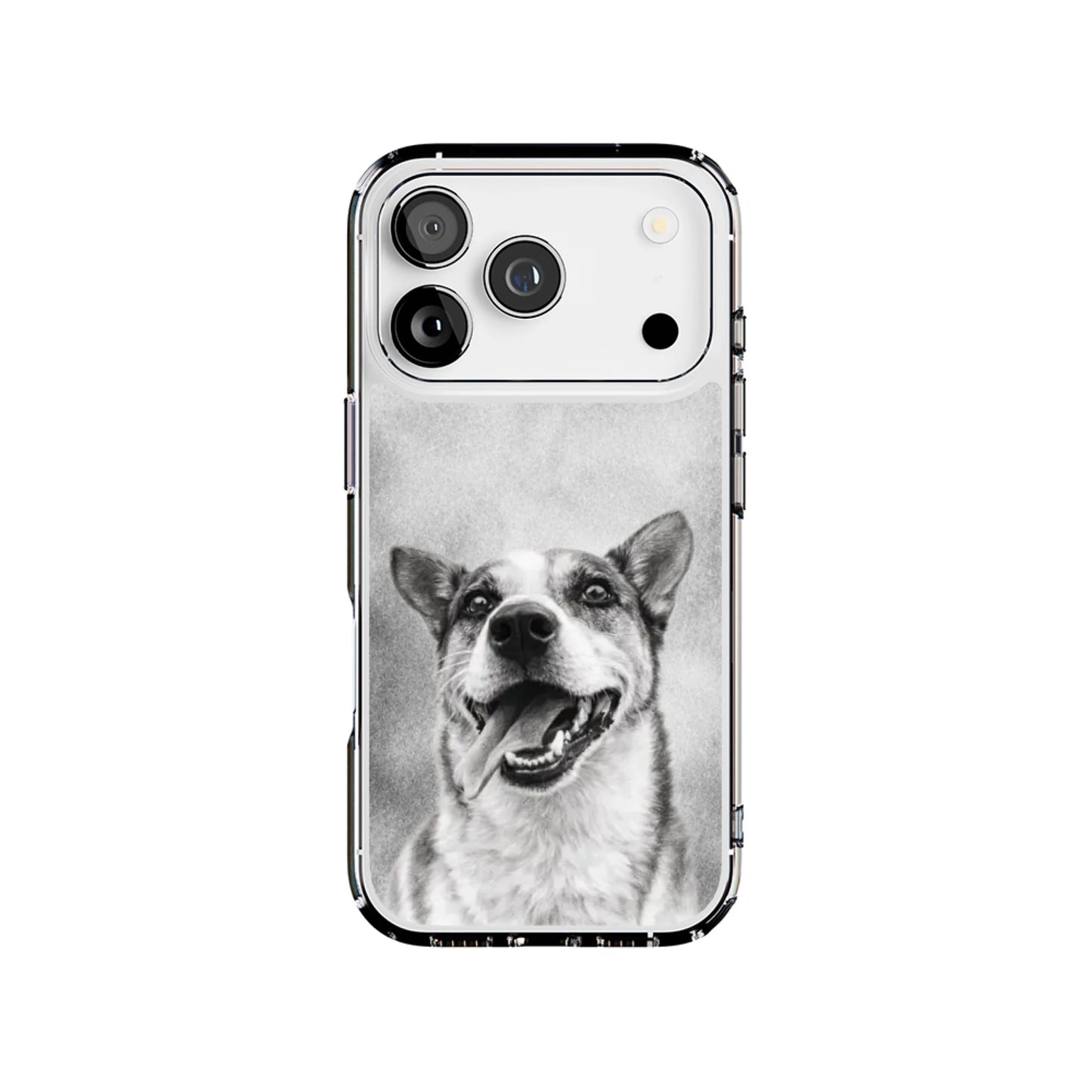 17P-C_Mockup