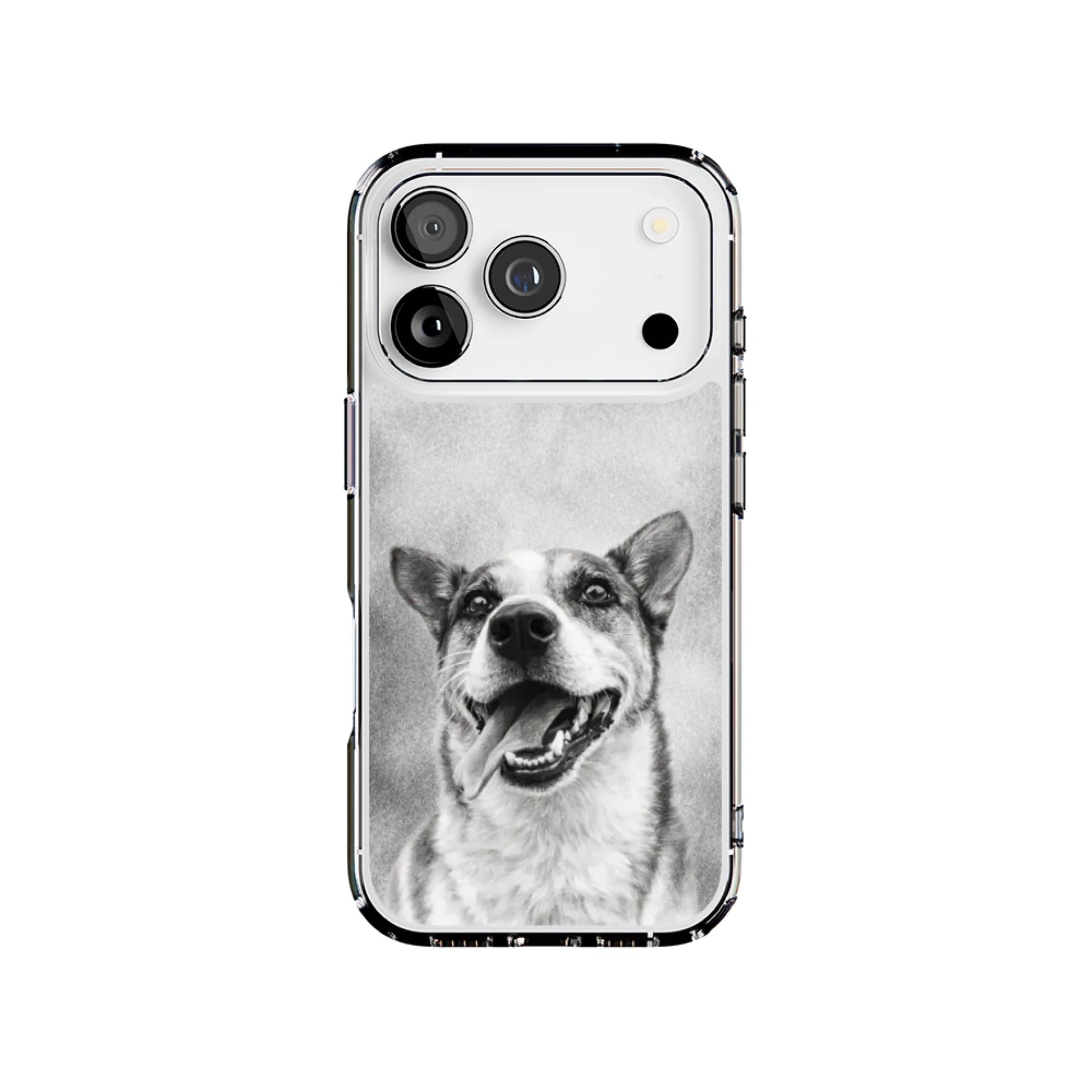 17P-C_Mockup