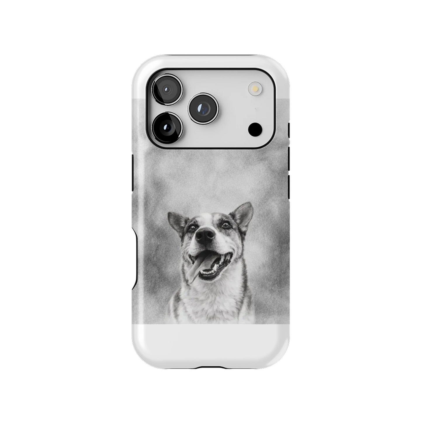 17PT_Mockup