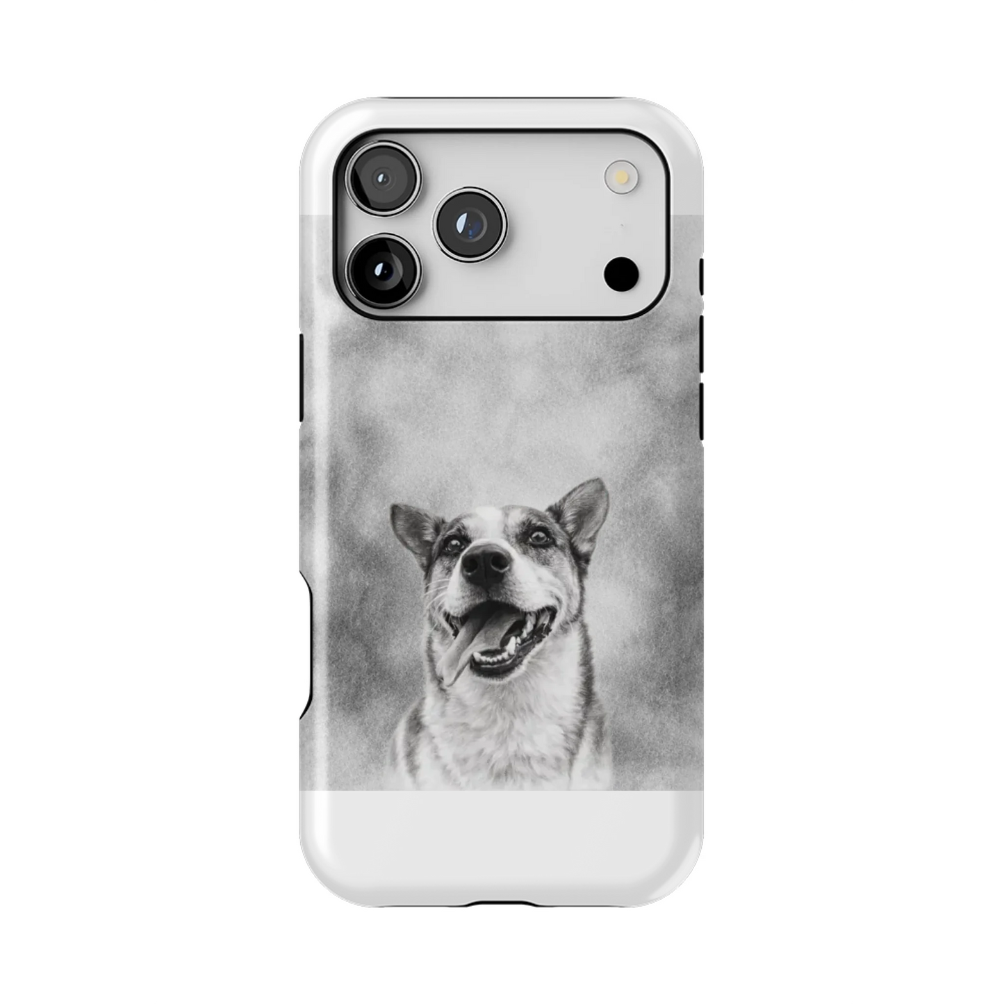 17PMT_Mockup