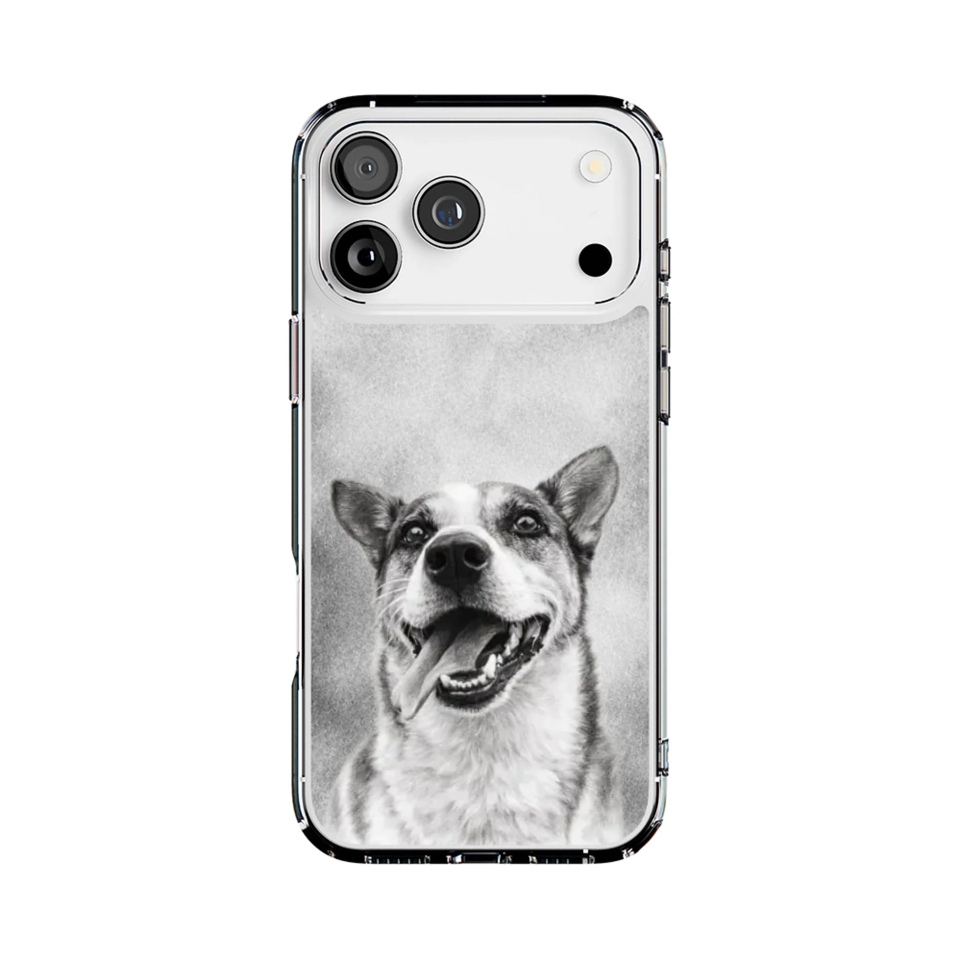 17PM-MS-C_Mockup