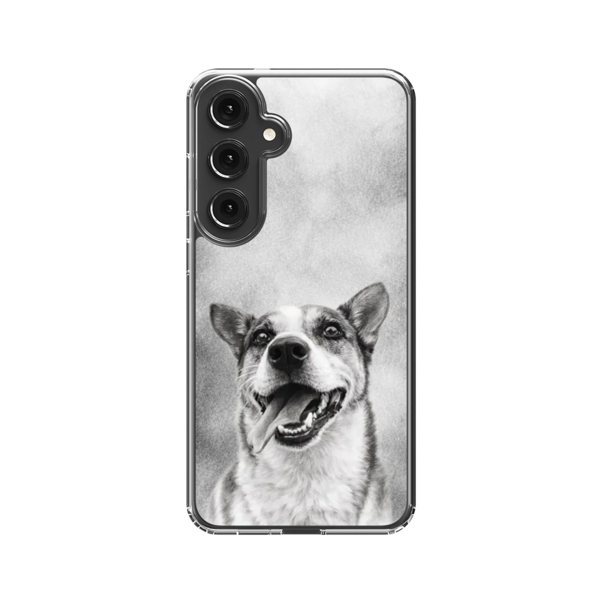 S24-C_Mockup