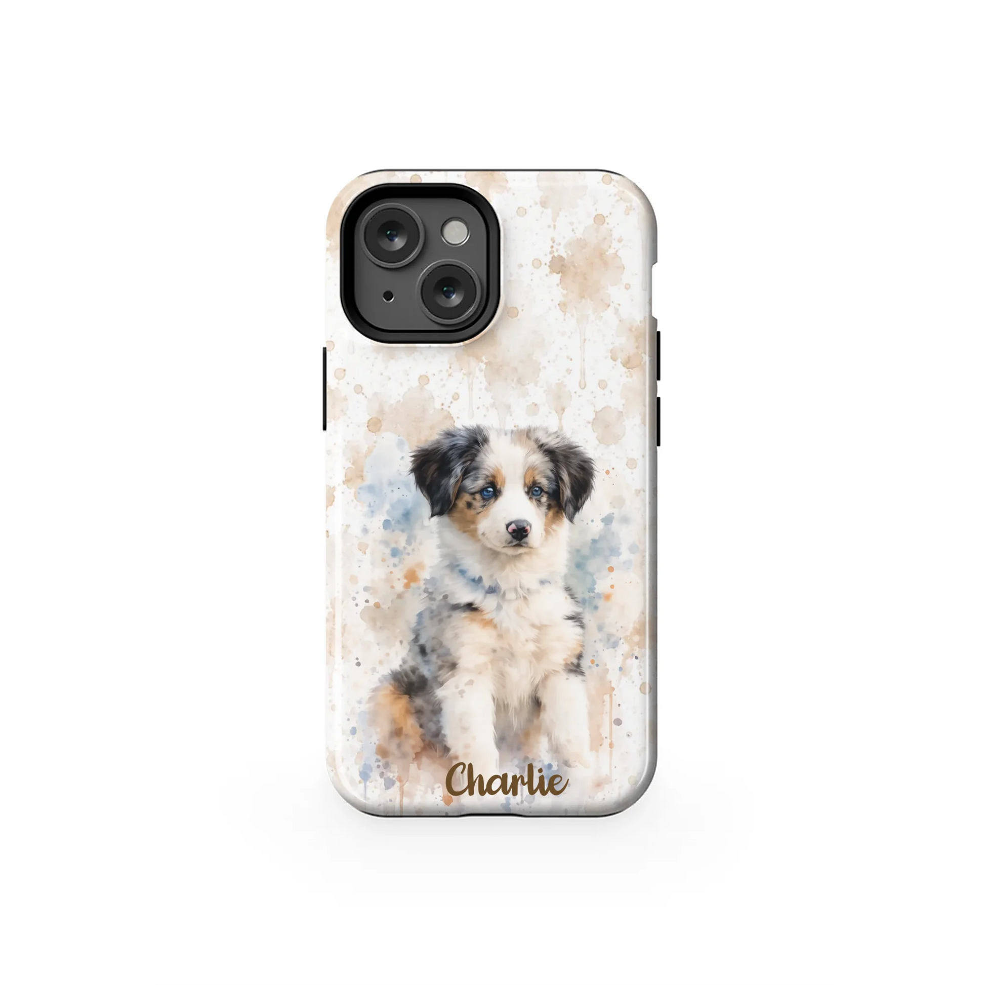 13MT_Mockup