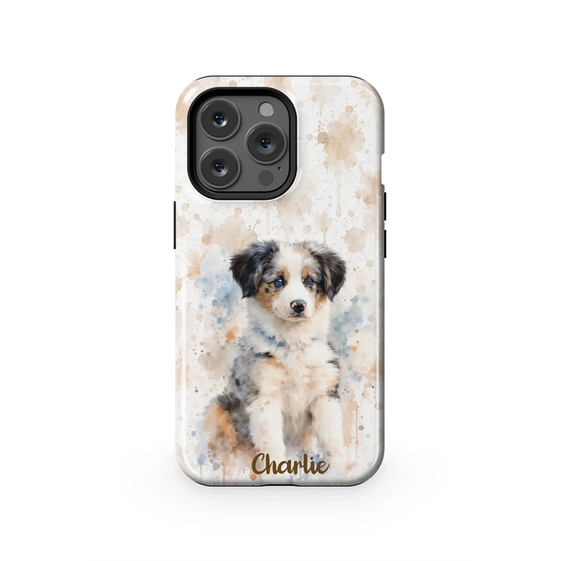 13PT_Mockup