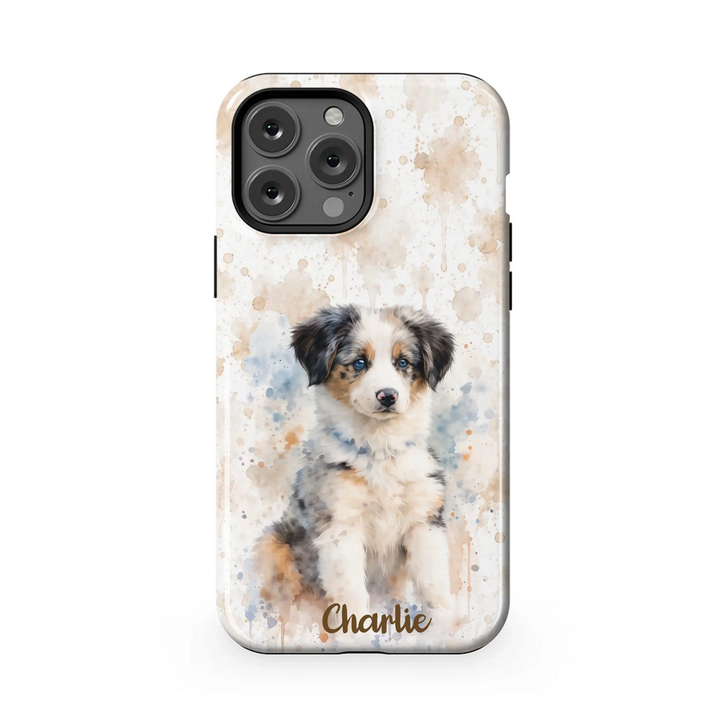 13PMT_Mockup
