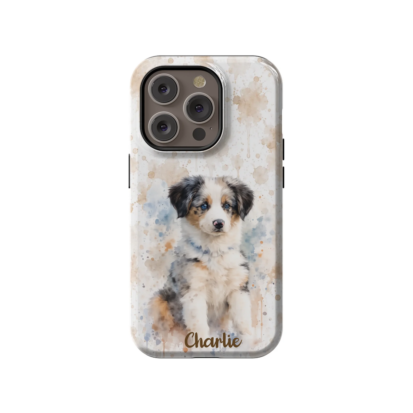 14PT_Mockup