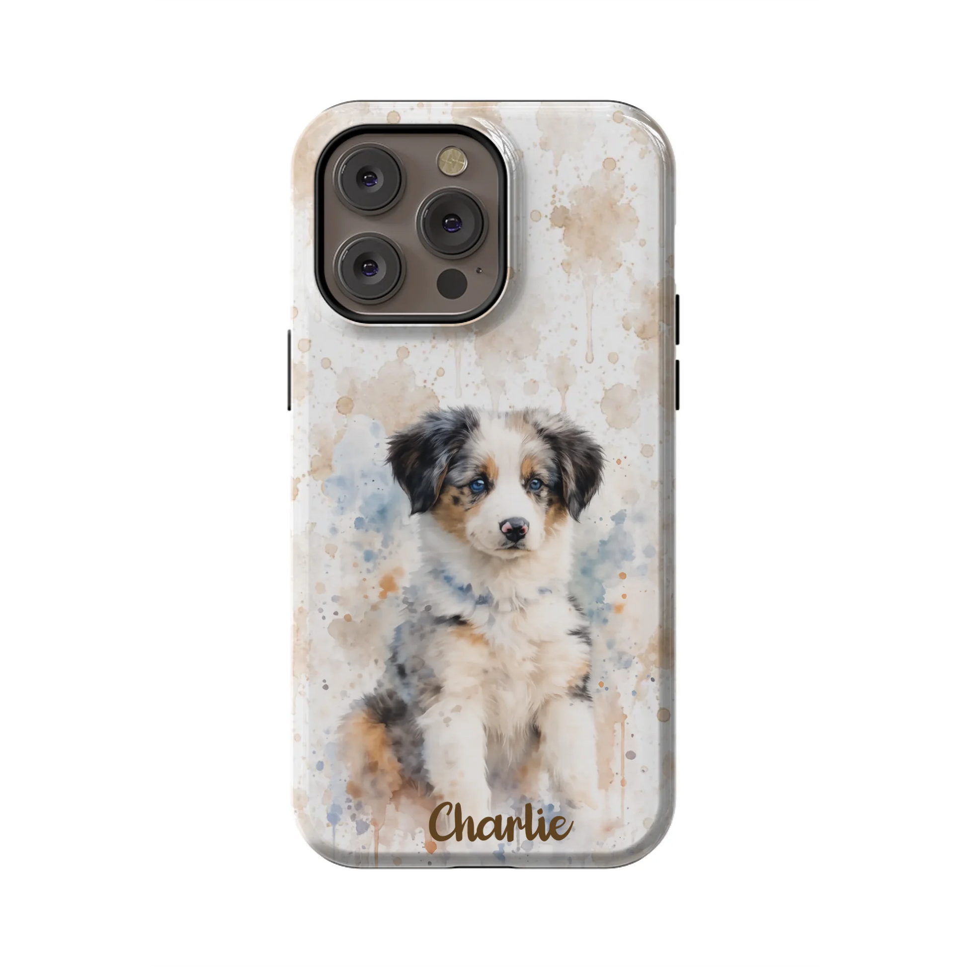 14PMT_Mockup