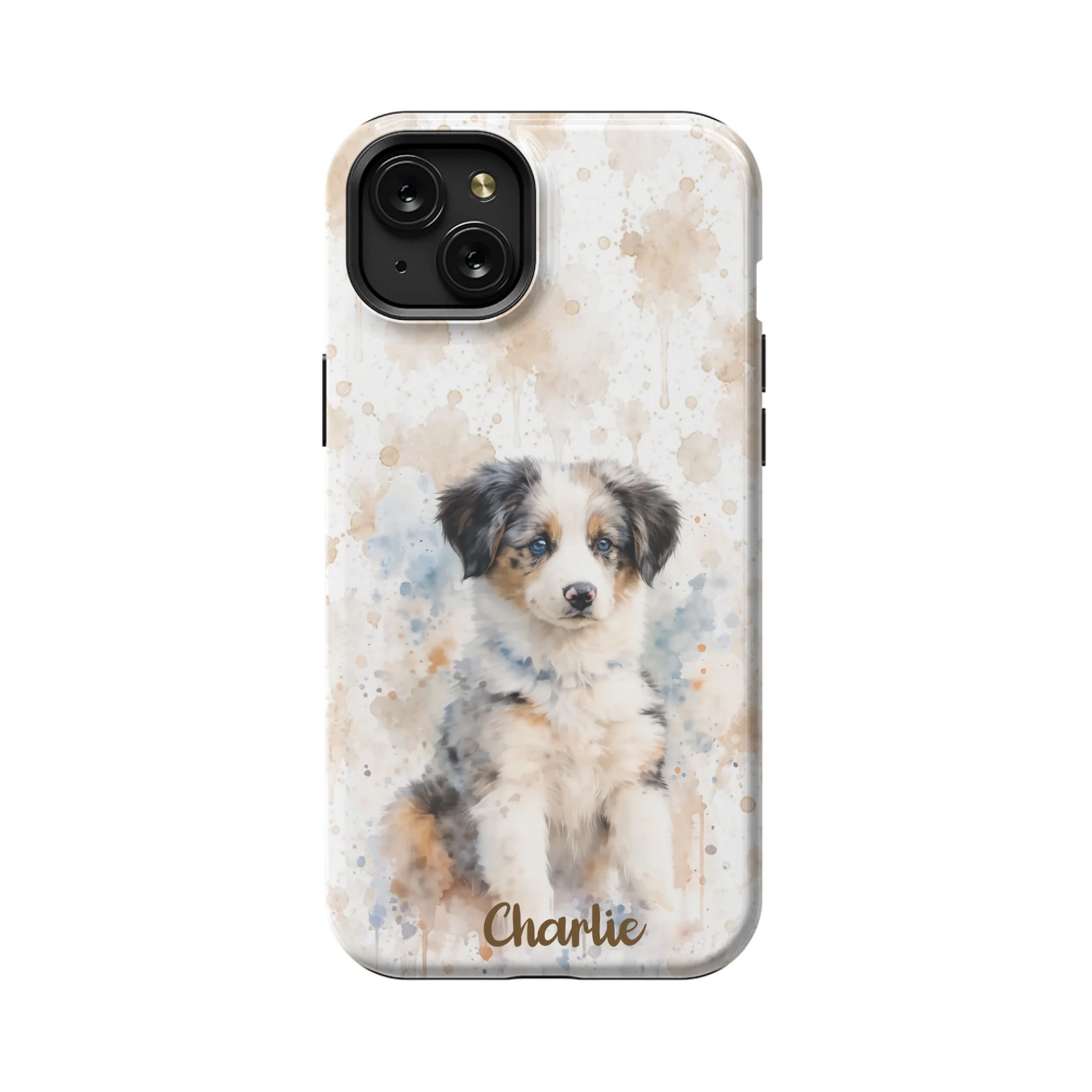 15PLT_Mockup