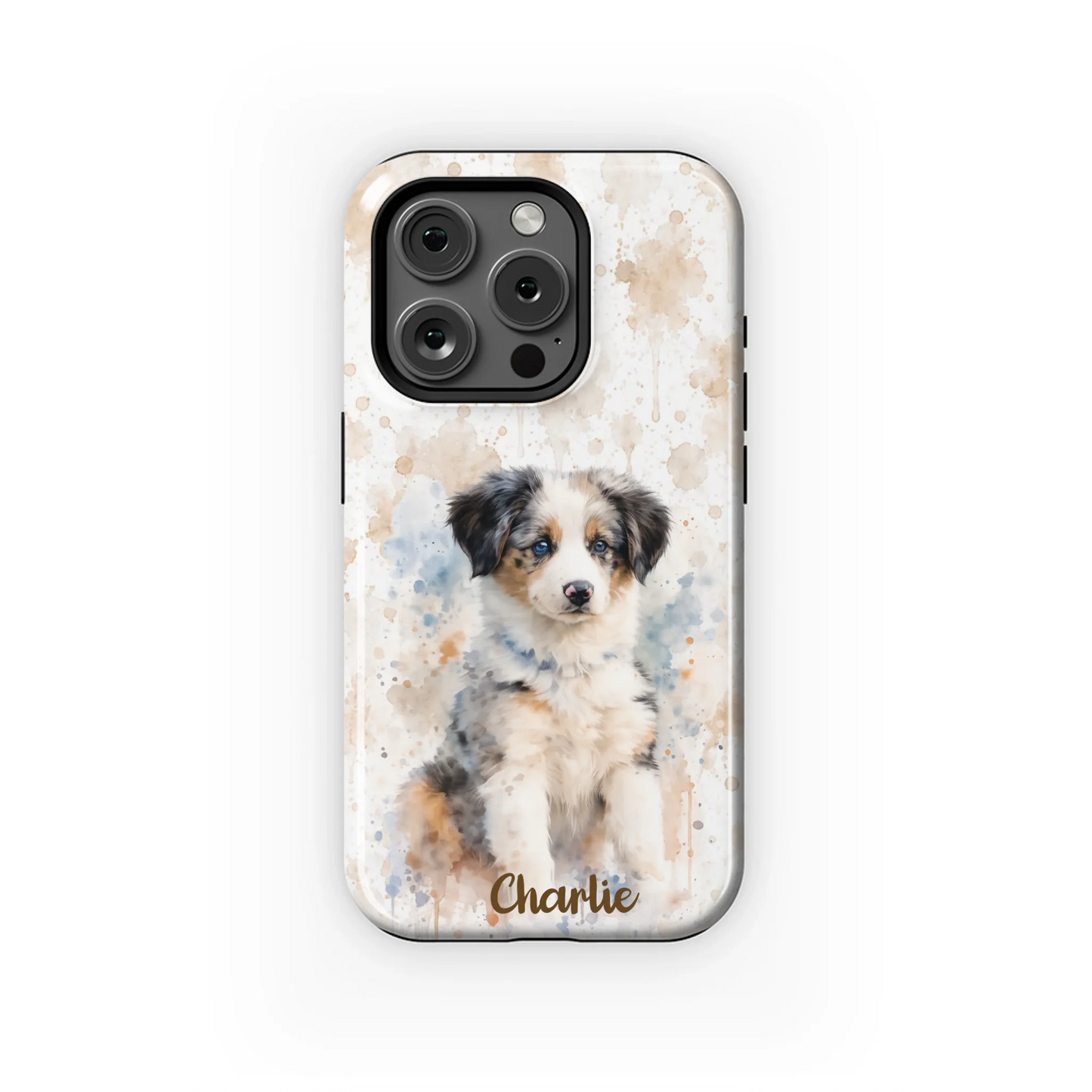 15PT_Mockup