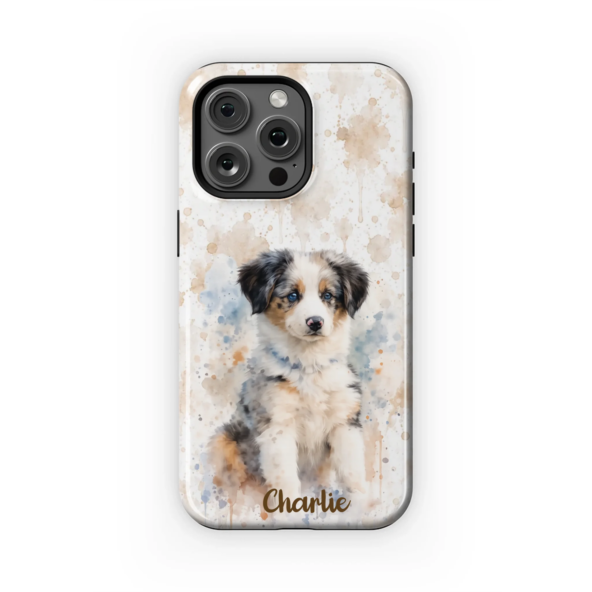 15PMT_Mockup
