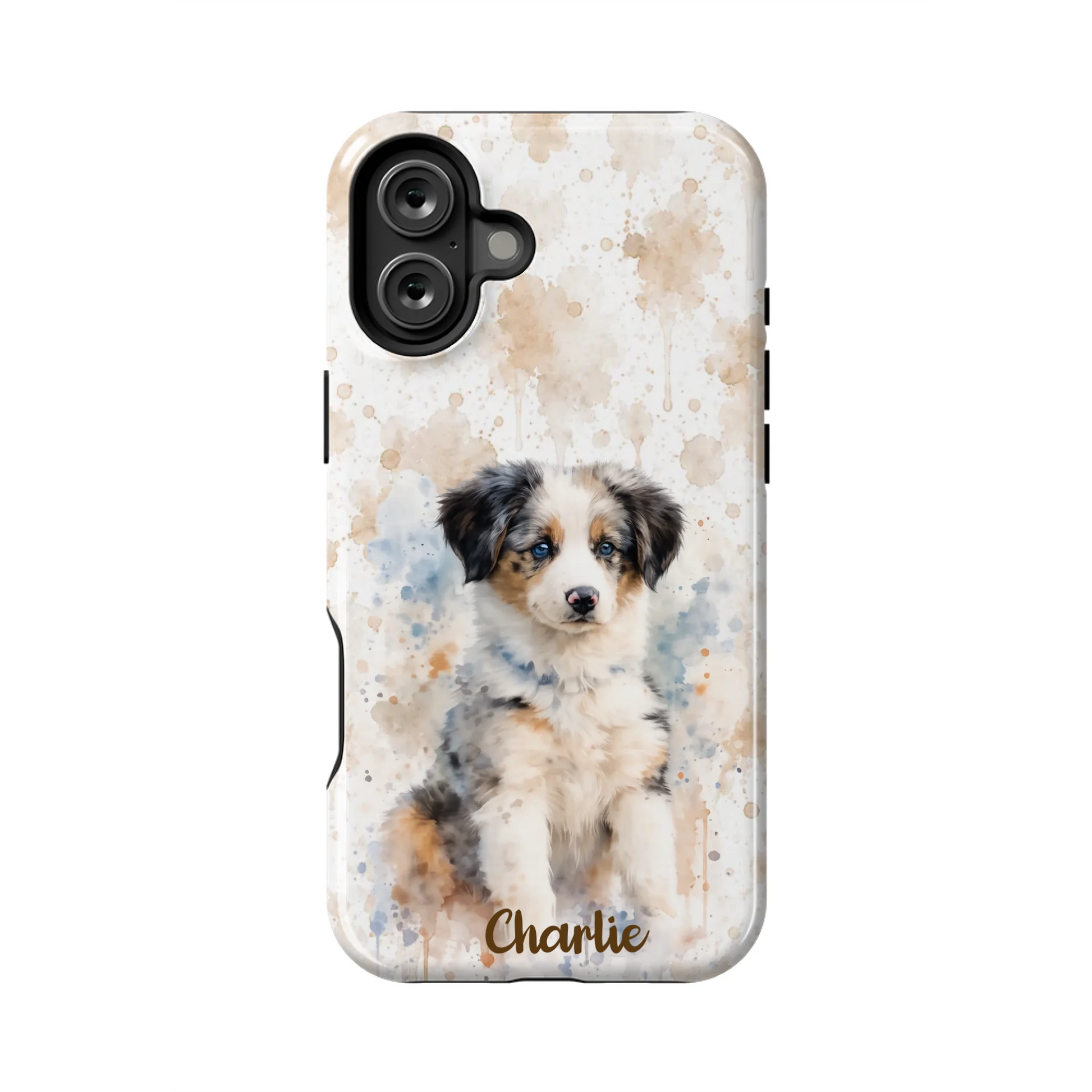 16PLT_Mockup