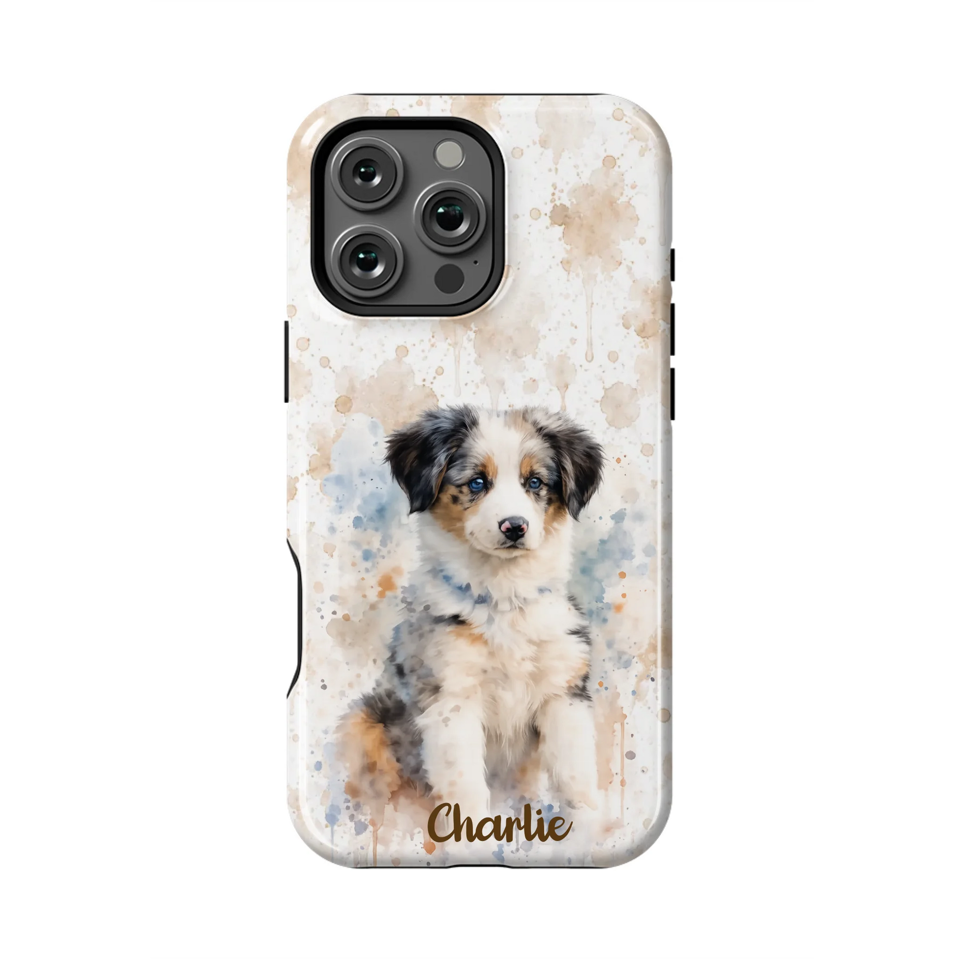 16PMT_Mockup