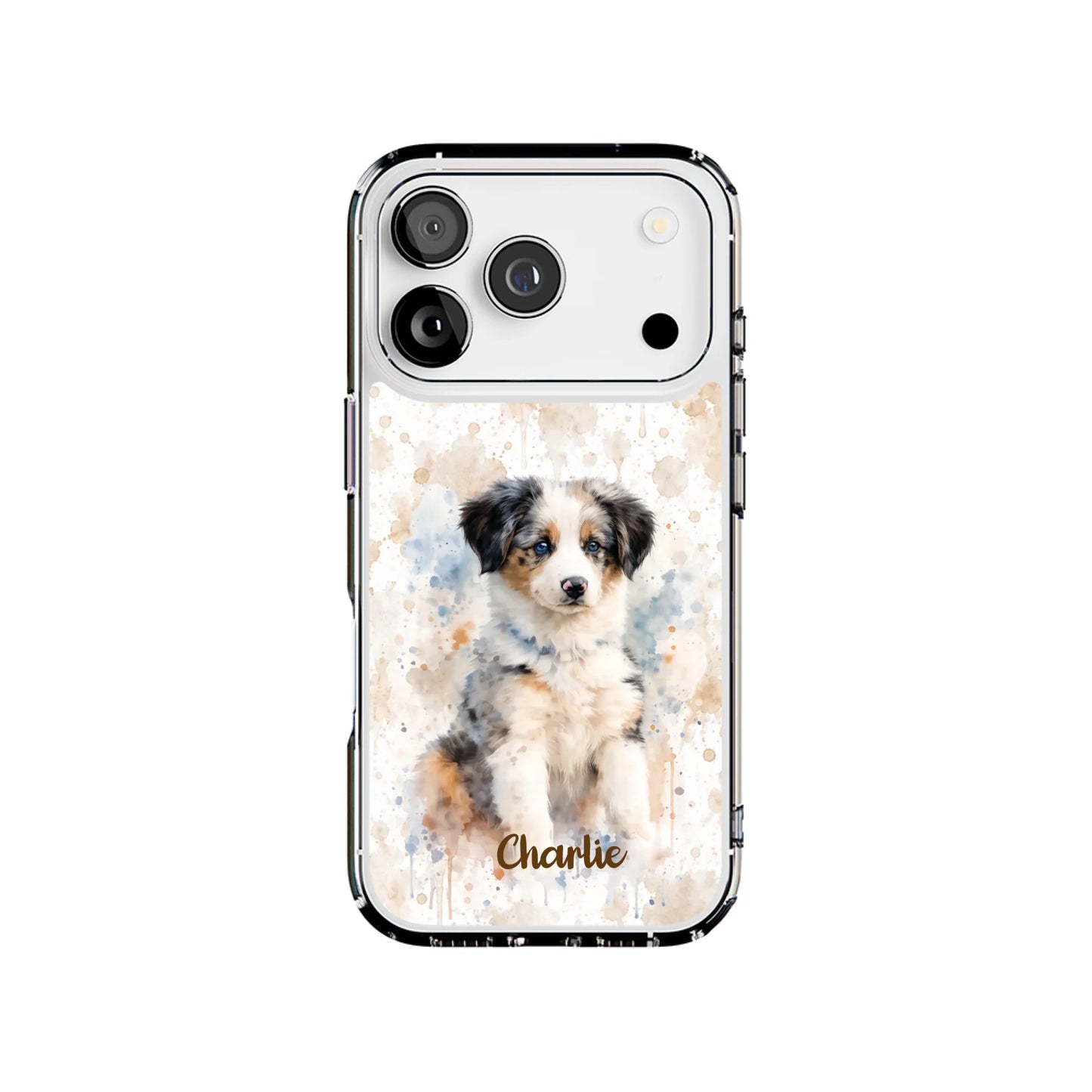 17P-C_Mockup