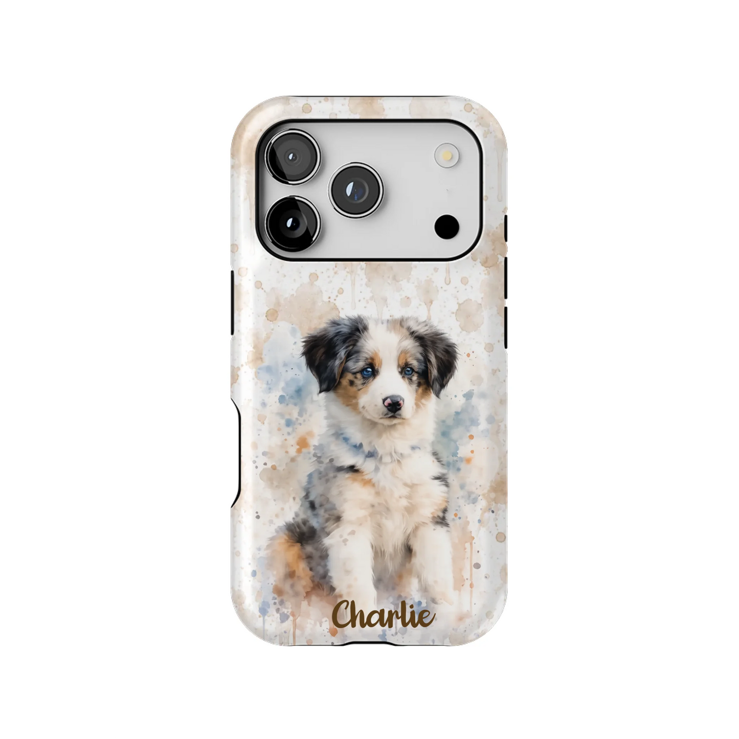 17PT_Mockup