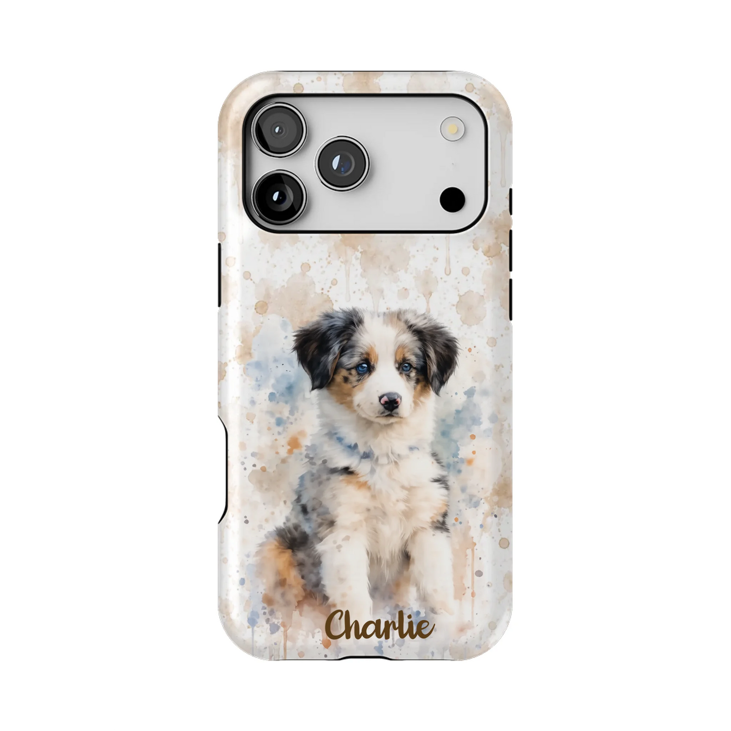 17PMT_Mockup
