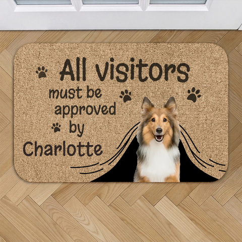 Personalized Doormat - Visit approved - Featured Image