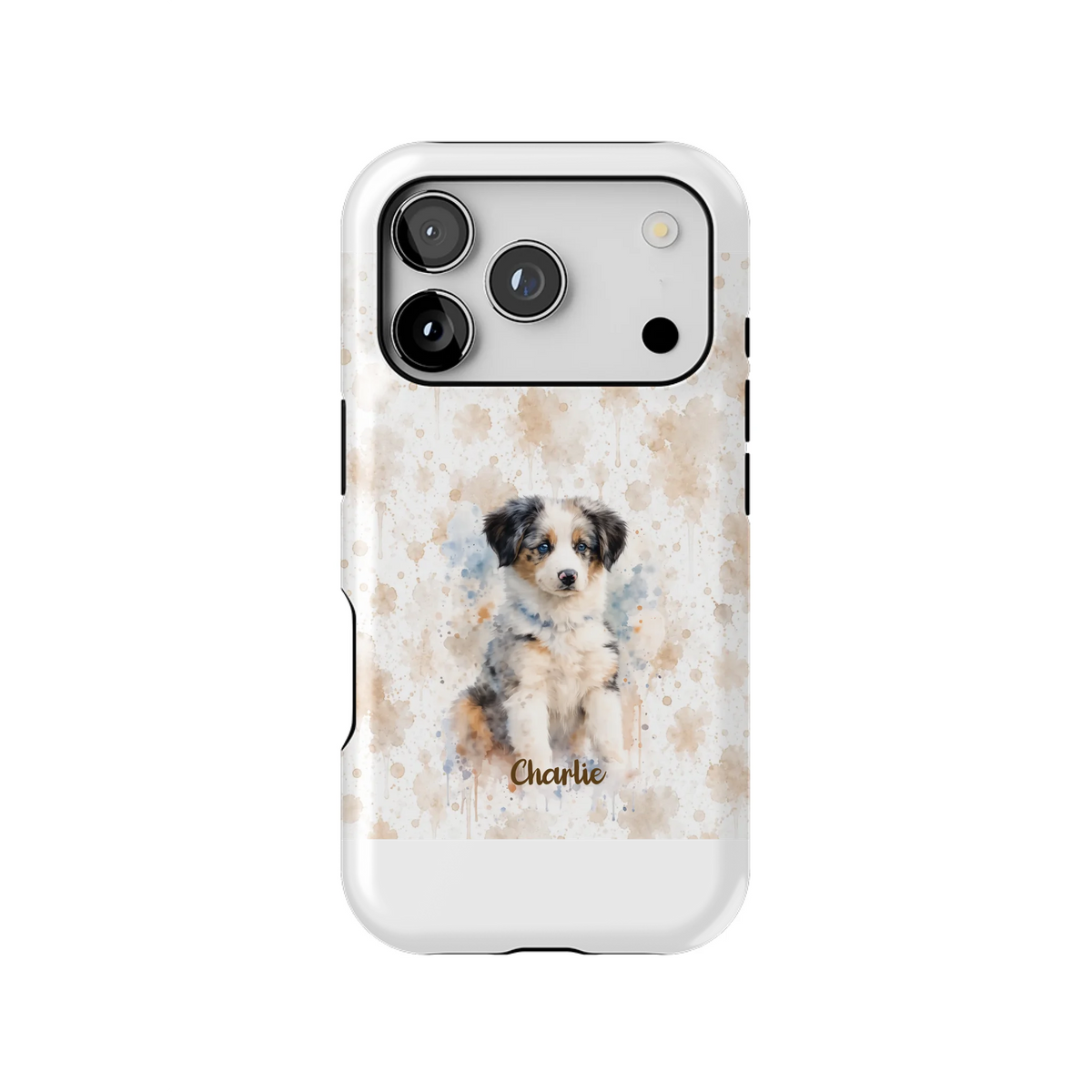 18PT_Mockup