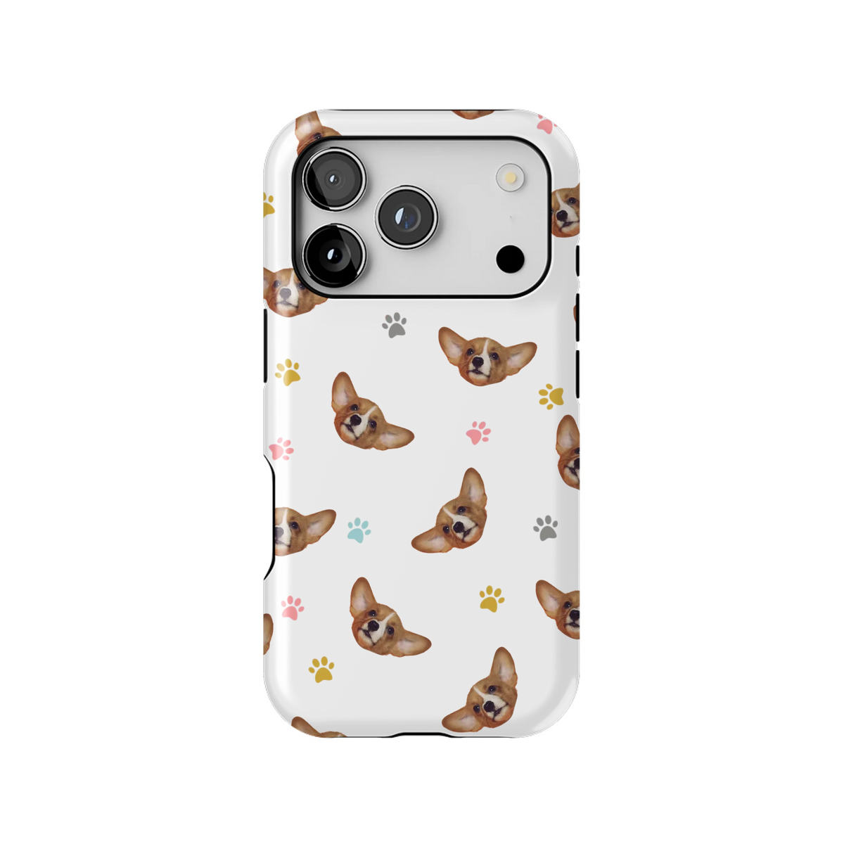 18PT_Mockup