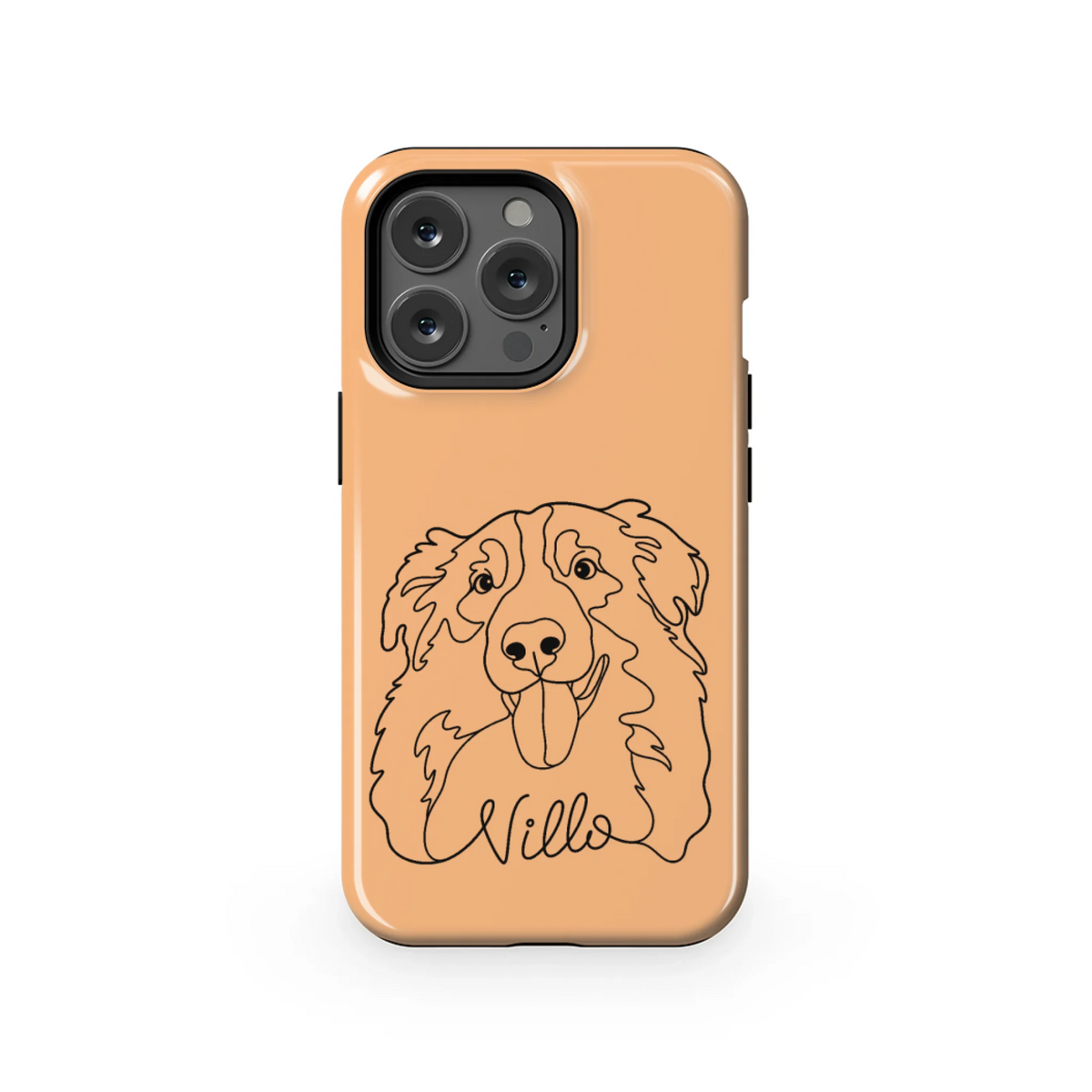 13PT_Mockup