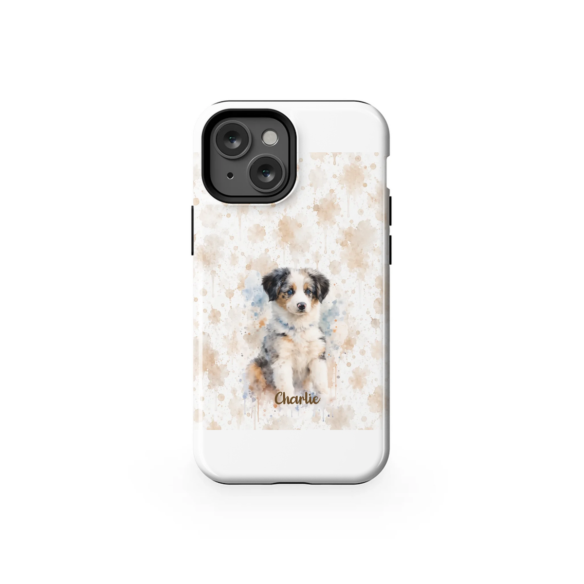 13MT_Mockup
