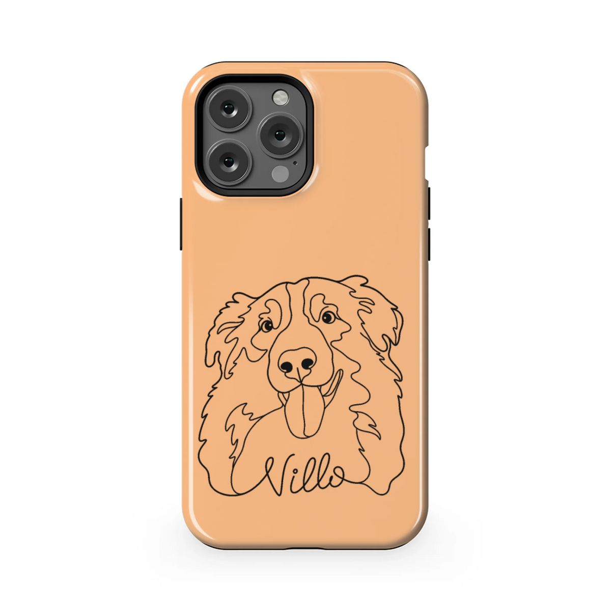13PMT_Mockup