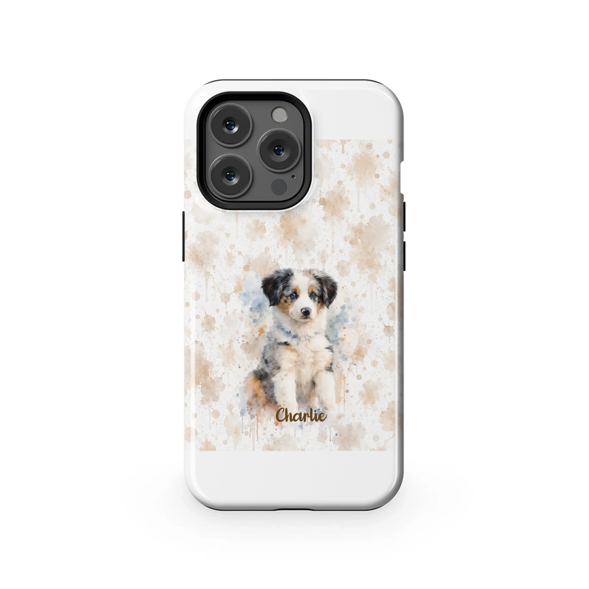 13PT_Mockup