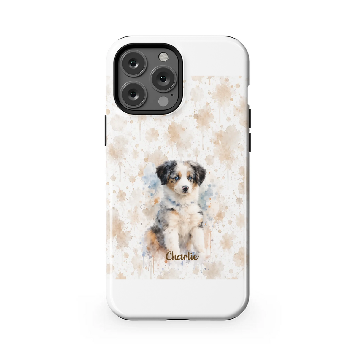 13PMT_Mockup
