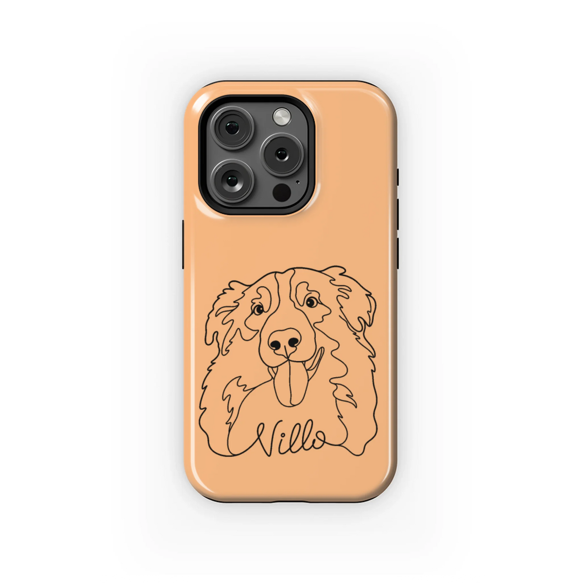15PT_Mockup