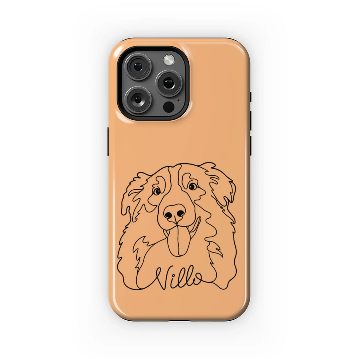 15PMT_Mockup