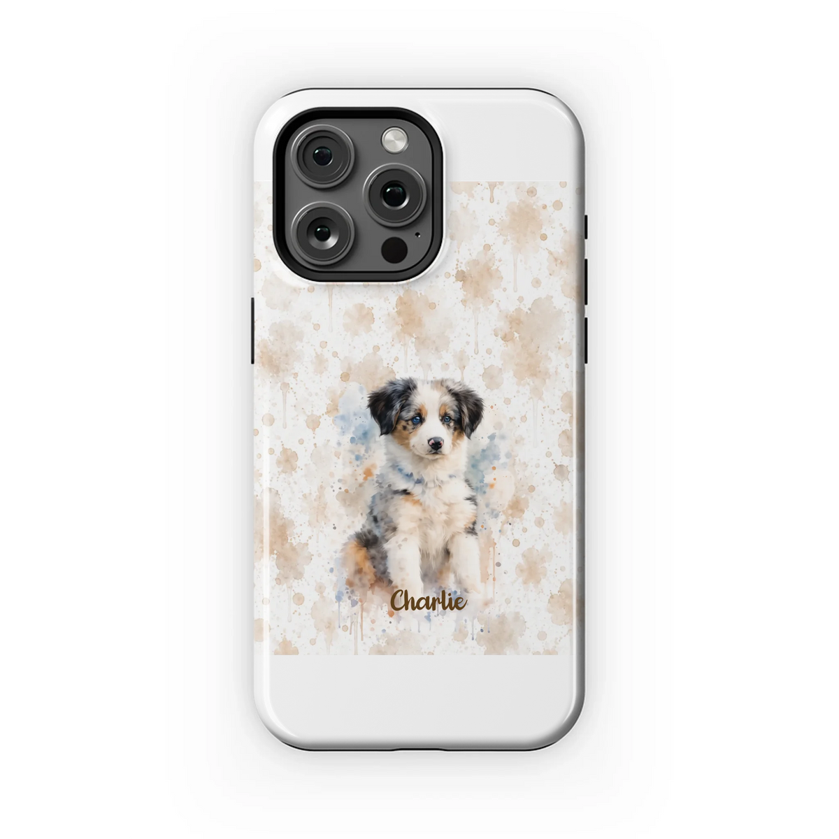 15PMT_Mockup