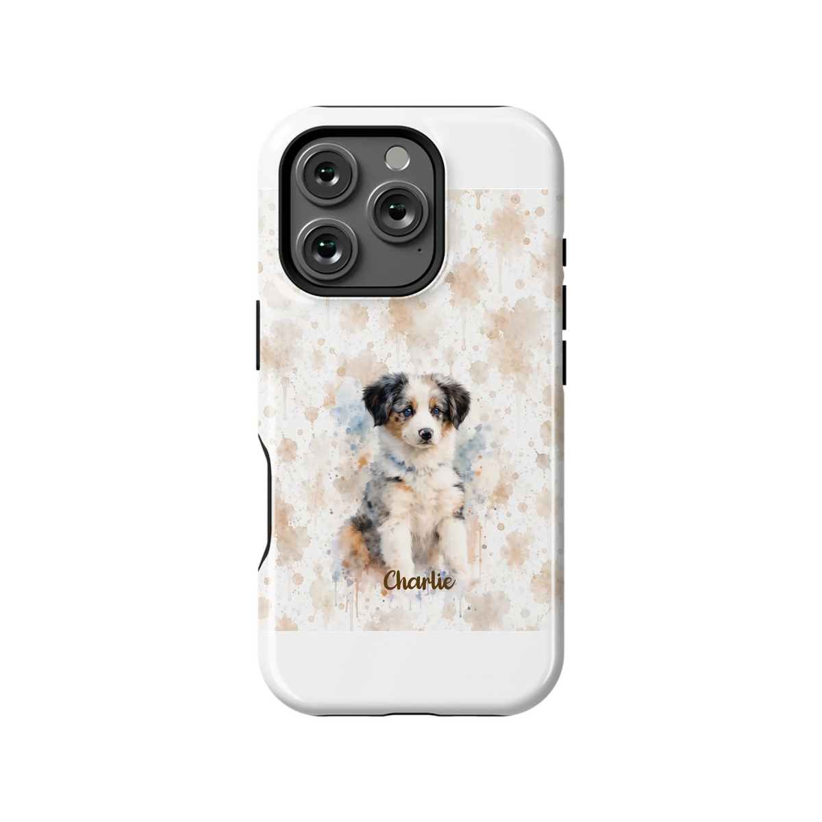 16PT_Mockup
