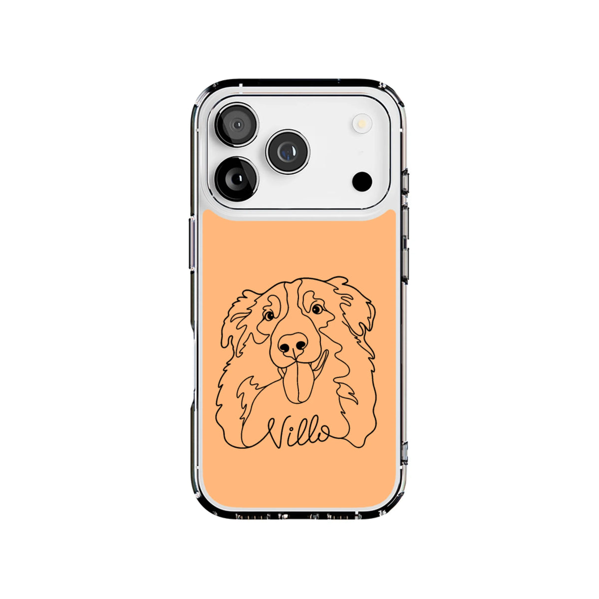 17P-C_Mockup