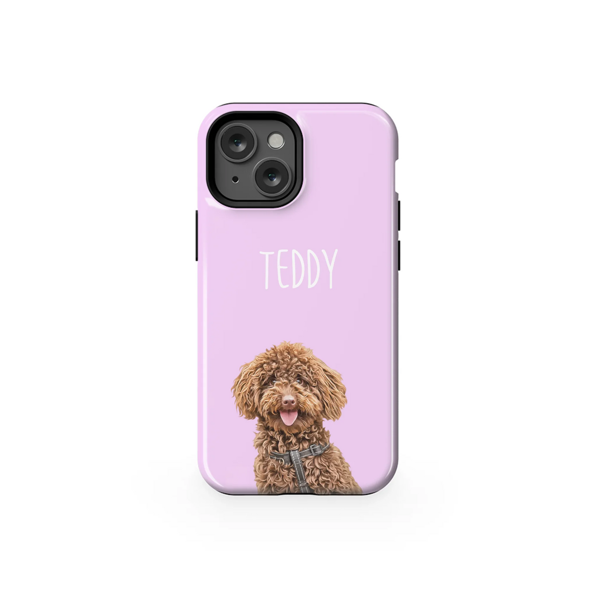 13MT_Mockup