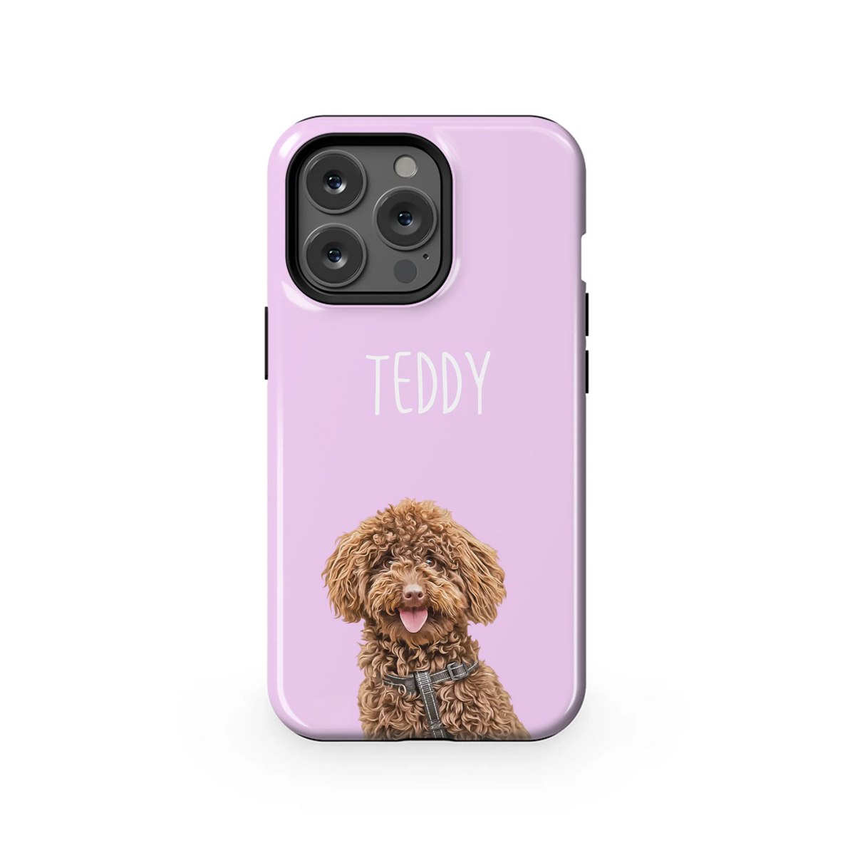 13PT_Mockup
