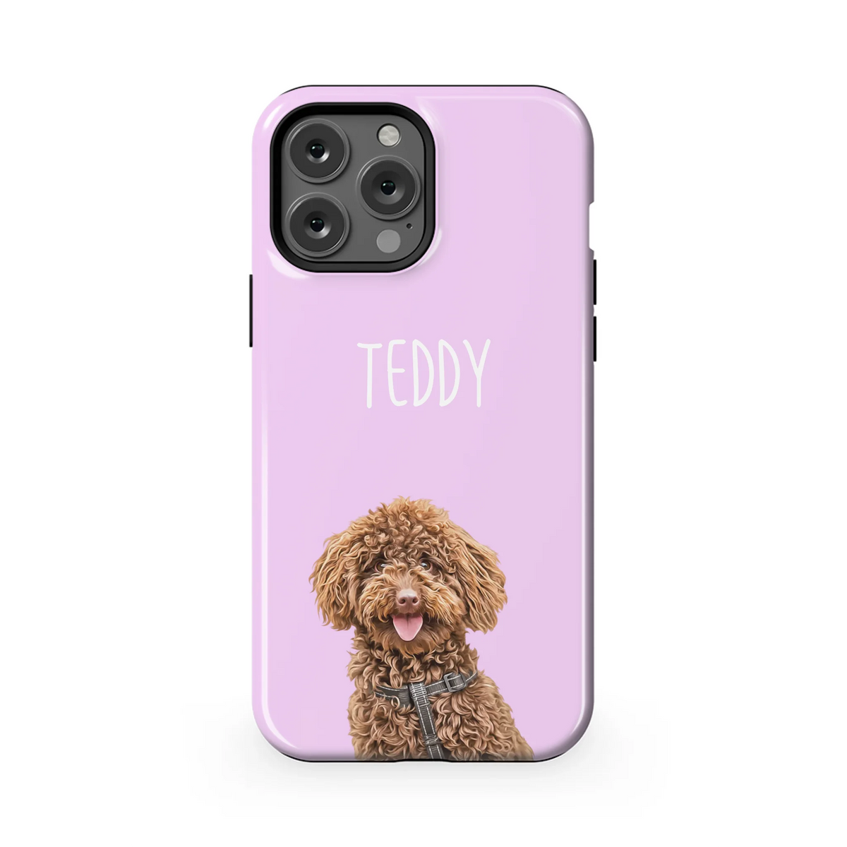 13PMT_Mockup
