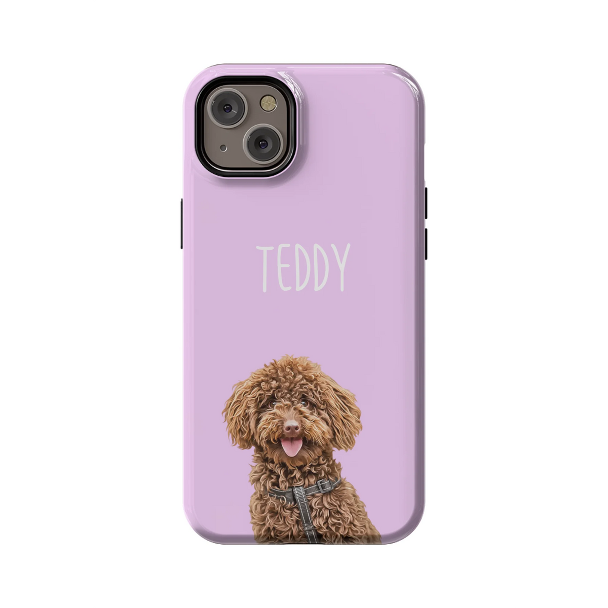 14PLT_Mockup