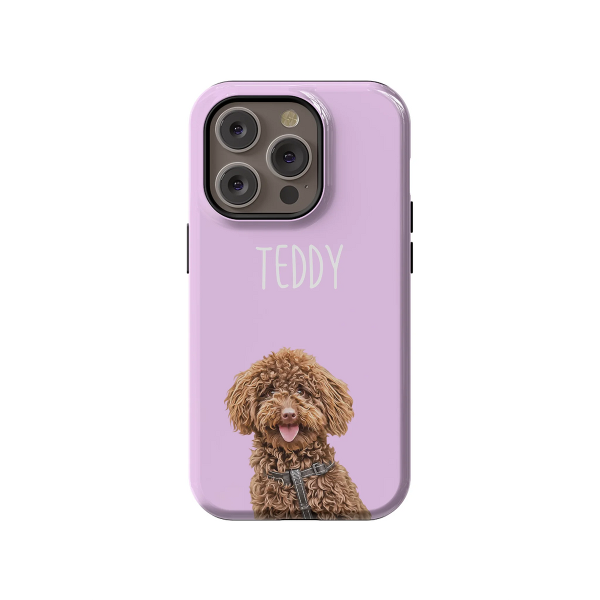 14PT_Mockup