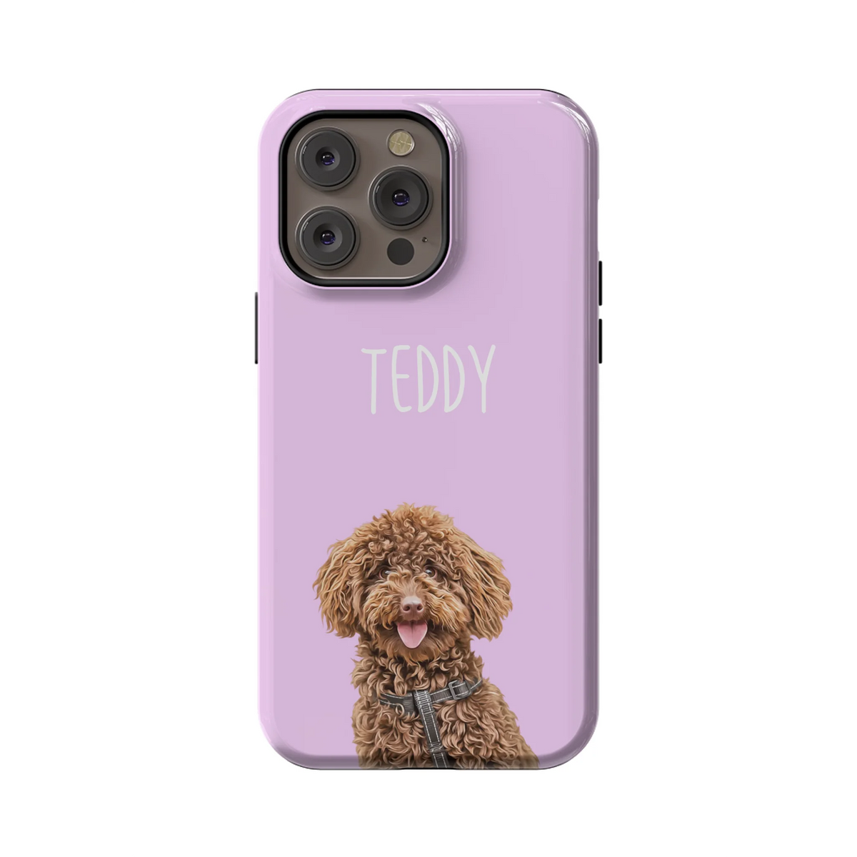 14PMT_Mockup